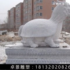 龍龜石雕，漢白玉龍龜?shù)袼? width=