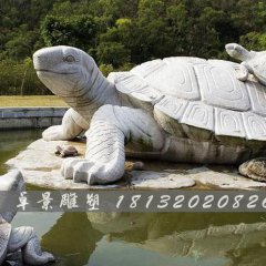 烏龜石雕，漢白玉烏龜?shù)袼? width=