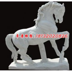 石雕馬，駿馬石雕，漢白玉駿馬雕塑
