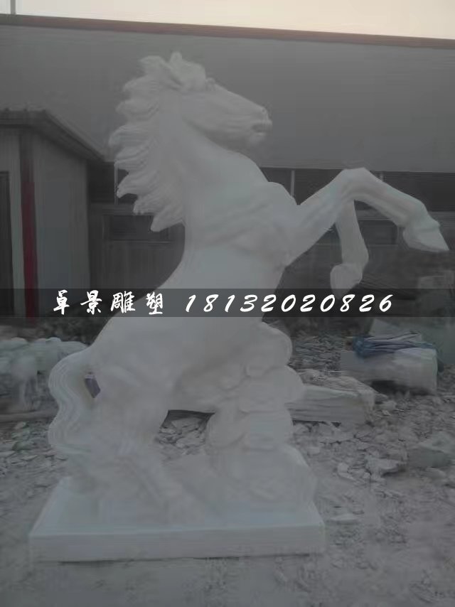 馬踏祥云石雕,漢白玉石雕馬 (3)