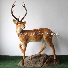 玻璃鋼梅花鹿，公園仿真動(dòng)物